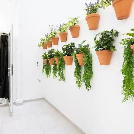 Nivaria Sun Place شقة بويرتو ذي لا كروز
